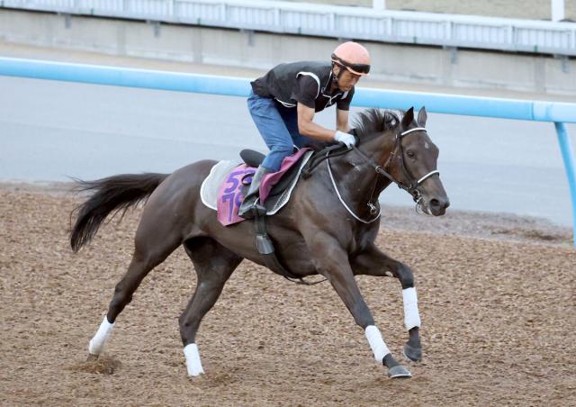 【紫苑S・浅子の特注馬】骨折で春G1を断念したテリオスララが大舞台の切符獲得へ　叩き2戦目で巻き返し十分