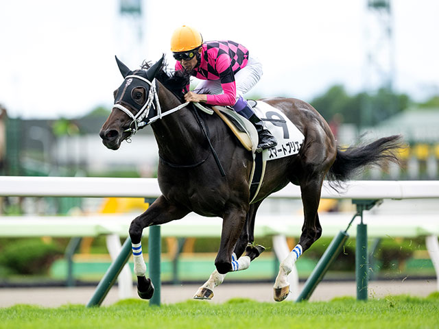 【札幌2歳S想定騎手】スマートプリエールは武豊騎手、ショウナンガルフは池添謙一騎手