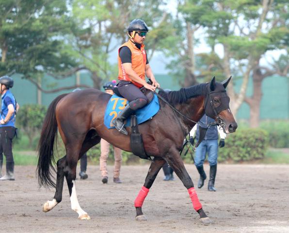 【京成杯AH・角田の特注馬】前走で復調を示したニシノスーベニア　得意の中山なら大きなチャンスだ