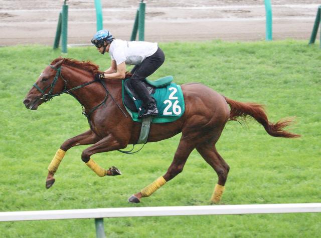 【札幌2歳S・山下の特注馬】アイドルホースの弟アーレムアレスが北都で輝く　荒れた馬場もぴったり
