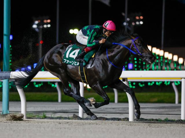 【大井・アフター5スター賞枠順】転入初戦快勝のファーンヒルは6枠11番