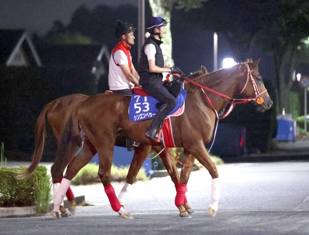 アイリッシュチャンピオンSと凱旋門賞の海外馬券発売が決定　JRA発表