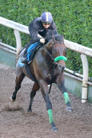 【サマーチャンピオン】重賞2勝のエンペラーワケアは2枠2番　オープン3勝のクロジシジョーは5枠5番　枠順確定