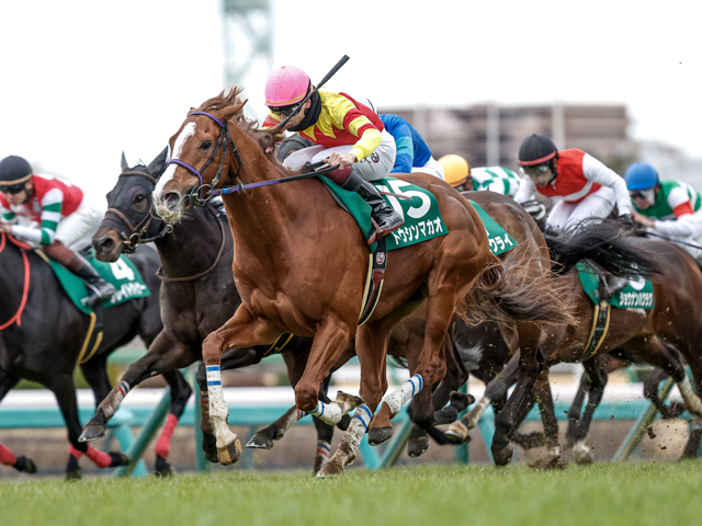 【セントウルS展望】前走GII組が好成績、実績馬トウシンマカオが中心