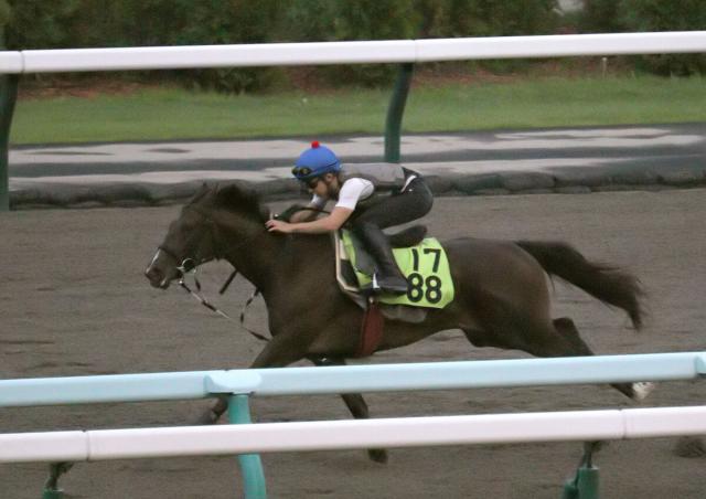 【札幌2歳S・ヤマタケの特注馬】初戦の上がりタイムに注目　ポペットに名馬の相?　陣営「乗った感じは古馬っぽい」