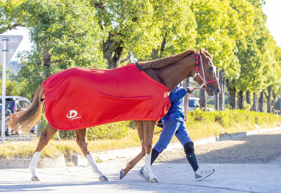 愛チャンピオンＳ＆凱旋門賞の馬券をＪＲＡが発売決定