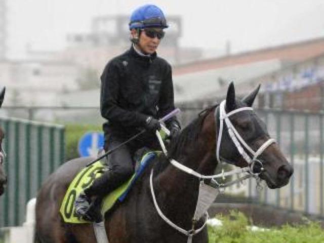 【札幌2歳S】スマートプリエール　古馬の風格!武豊「乗りやすい」好感触　同じ大久保厩舎の母は重賞4勝