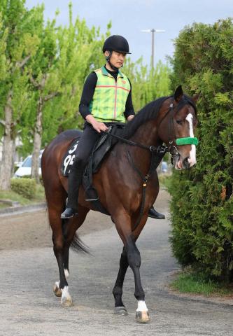日本海Sを制したゲルチュタールは菊花賞へ　連勝でオープン入り　春は青葉賞3着
