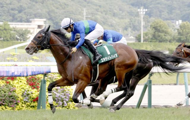 【注目馬動向】エキサイトバイオは菊花賞に直行　ラジオNIKKEI賞で重賞初制覇