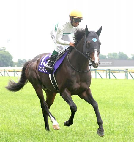 【注目馬動向】ソウルラッシュは富士SからマイルCS、香港マイルへ　池江調教師「今月中には帰厩する予定」