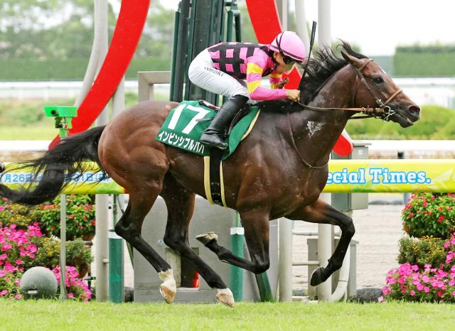 【注目馬動向】インビンシブルパパは次戦は海外　米G1・BCターフスプリントへ