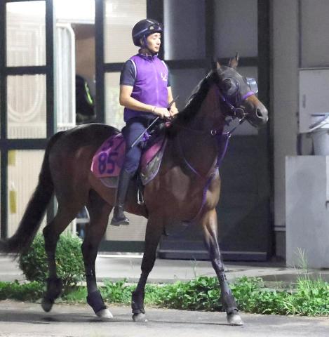 【紫苑S】エフフォーリアの全妹ジョスランはWコースで勢いよく併入　鹿戸調教師「チャンスは十分にある」