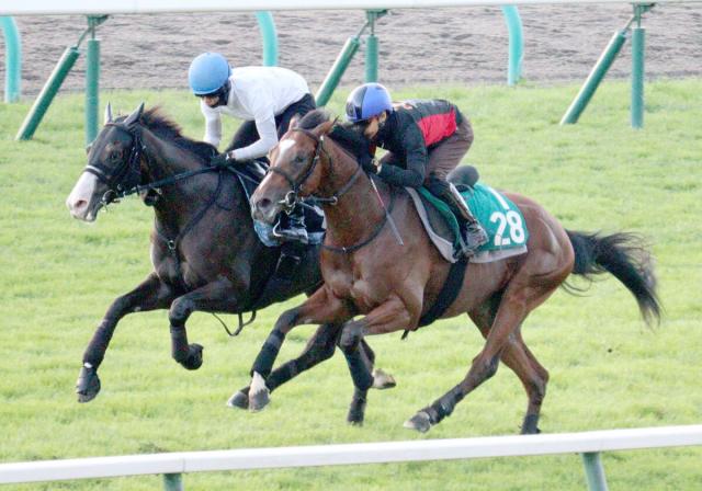 【札幌2歳S】ショウナンガルフが芝コースで力強く併入　池添謙一騎手「バランスの部分で良くなっている」