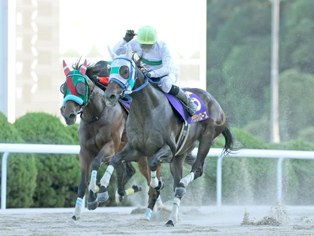 【佐賀・サマーチャンピオン注目馬】出走メンバーの半数が3歳馬 フレッシュな顔ぶれのダート短距離重賞
