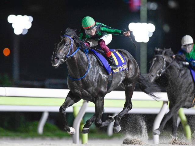 【大井・アフター5スター賞結果】ファーンヒルが直線半ばで抜け出し重賞連勝