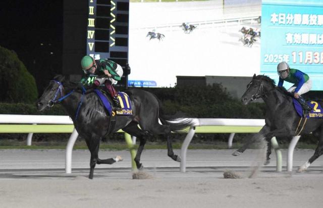 【大井競馬　スポニチ盃アフター5スター賞】ファーンヒルが重賞連勝　次走JBCスプリントに手応え
