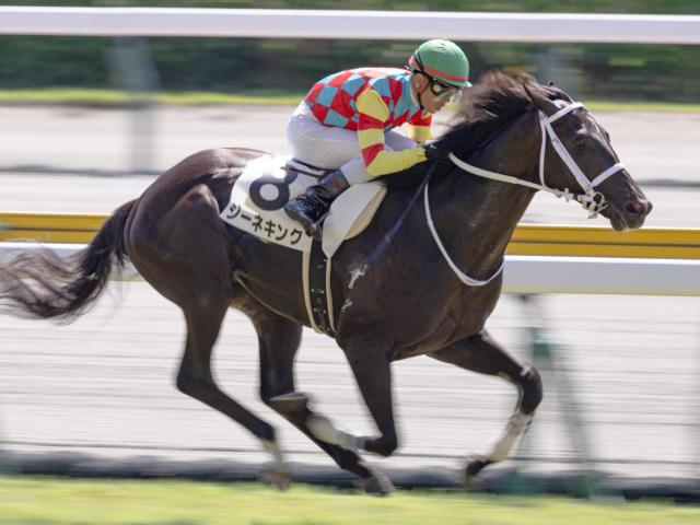 【札幌2歳S】コントレイル産駒の重賞初制覇なるか ジーネキングが初の洋芝に挑戦だ