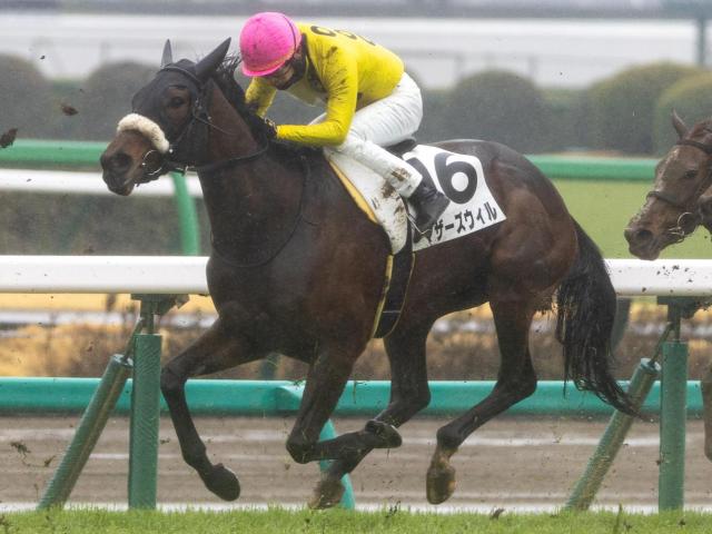 先週の530万馬券を演出 ホエールキャプチャの仔が連闘で初勝利なるか
