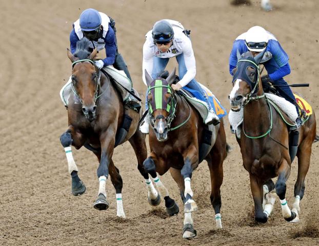 【セントライト記念・1週前】レッドバンデが6ハロン77秒6の猛時計マーク　嶋田純次騎手「良くなっている」