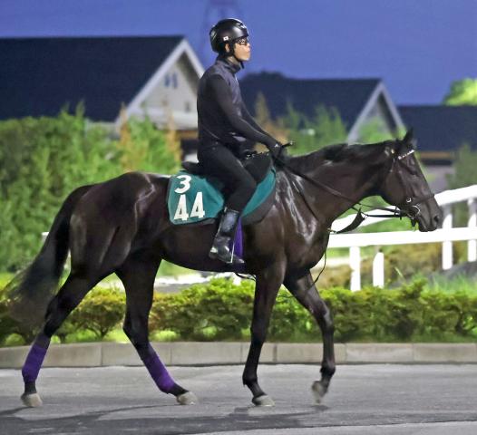 【POG】父はディープインパクト産駒の仏ダービー馬　キッコベッロがデビュー　友道調教師「ディープっぽい感じ」