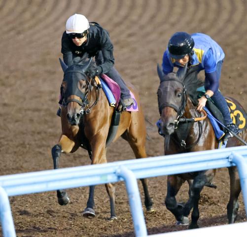 【ローズS1週前】タイセイプランセスがラスト11秒1をマーク　池上調教師「ラップ、動きと良かった」
