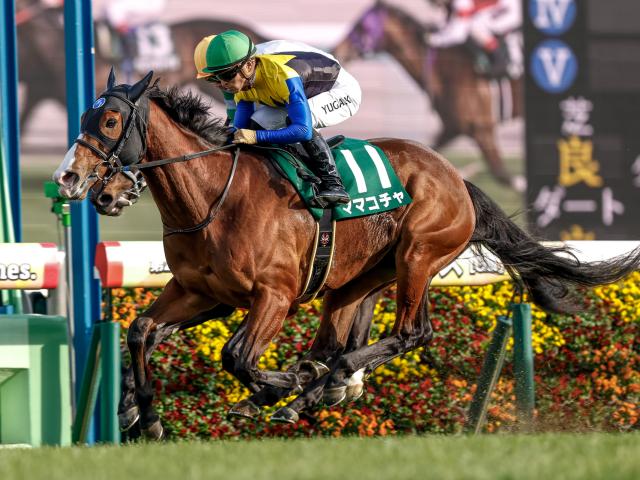 【セントウルS出走馬・騎手確定】ママコチャ＆岩田望来騎手、トウシンマカオ＆横山武史騎手など16頭