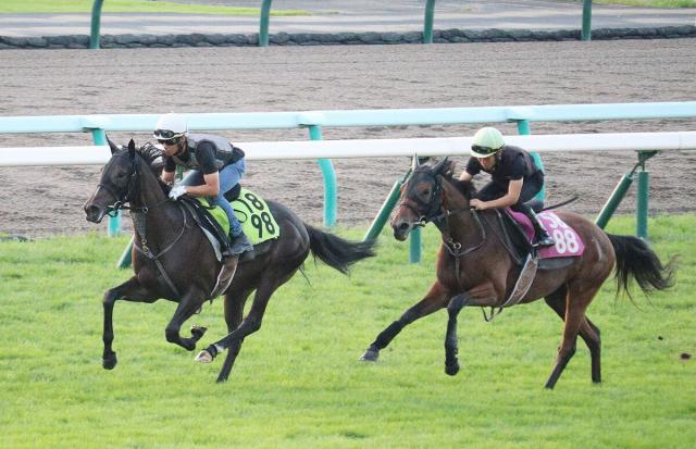 【POG】今週デビューのリリージョワは近親に活躍馬多数の良血馬　武幸調教師「初戦からやれそうなタイプ」