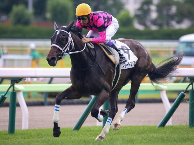今週の武豊騎手は7鞍 スマートレイアーの仔を重賞初制覇に導くか