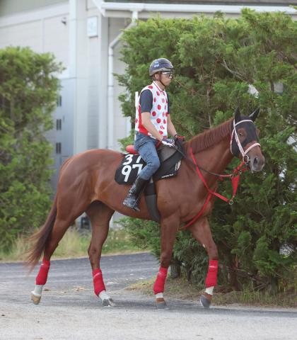 【サマーチャンピオン】ヤマニンチェルキ重賞連勝　3歳Vは20年ぶり2頭目　岩田望来騎手「勝負強さを見せてくれた」