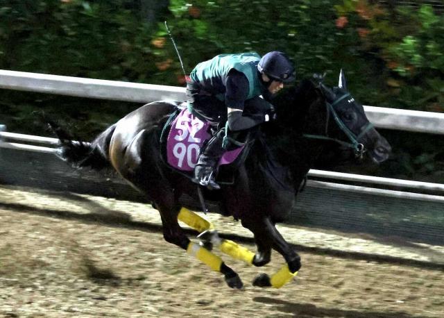【紫苑S】ダノンフェアレディ　坂路で機敏なフットワーク披露!橋口師「前めにつけていければ」