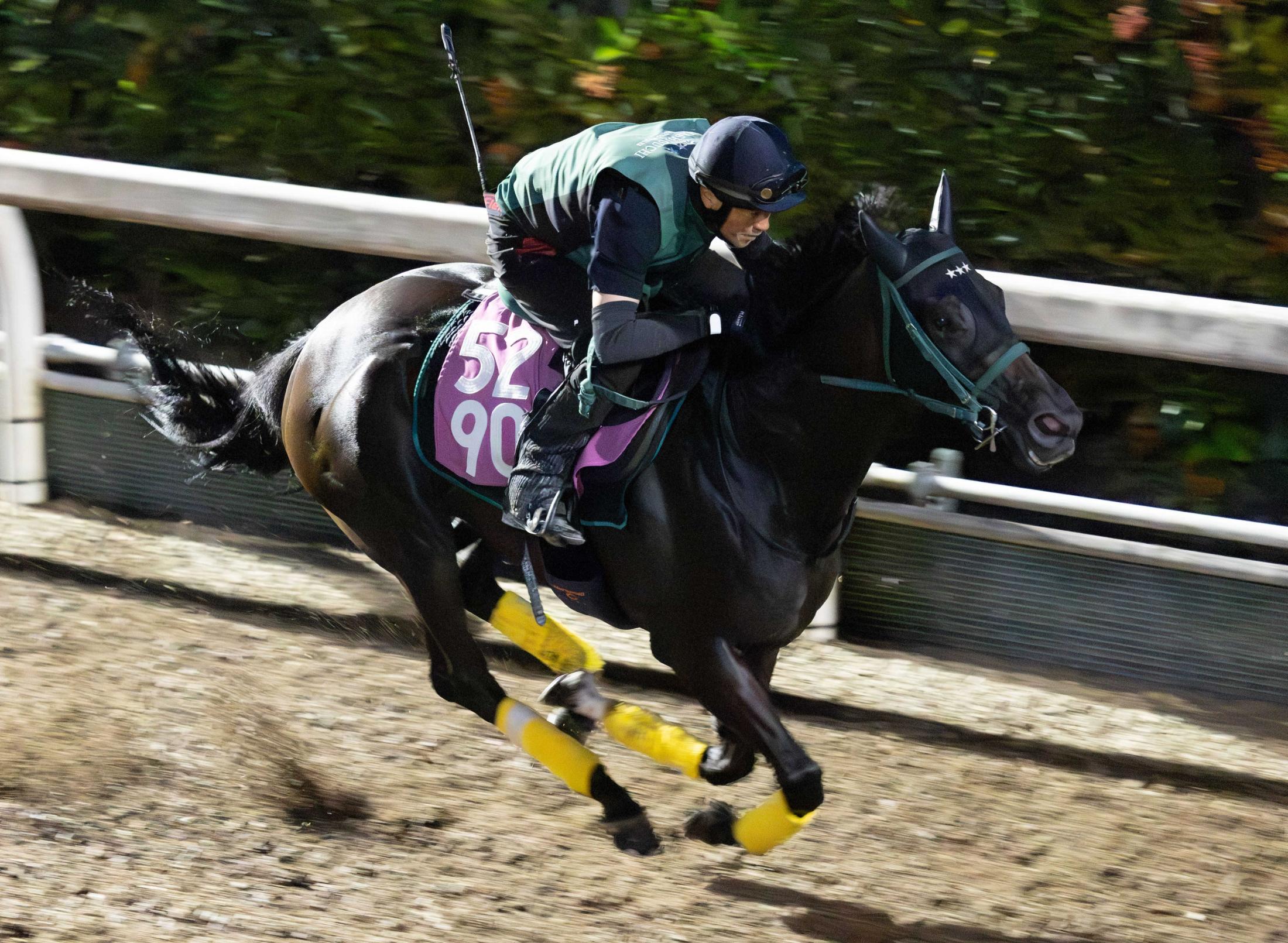 【紫苑Ｓ】ダノンフェアレディ　春クラシック断念が奏功　馬体も仕上がりも充実　重賞初制覇へ師も納得