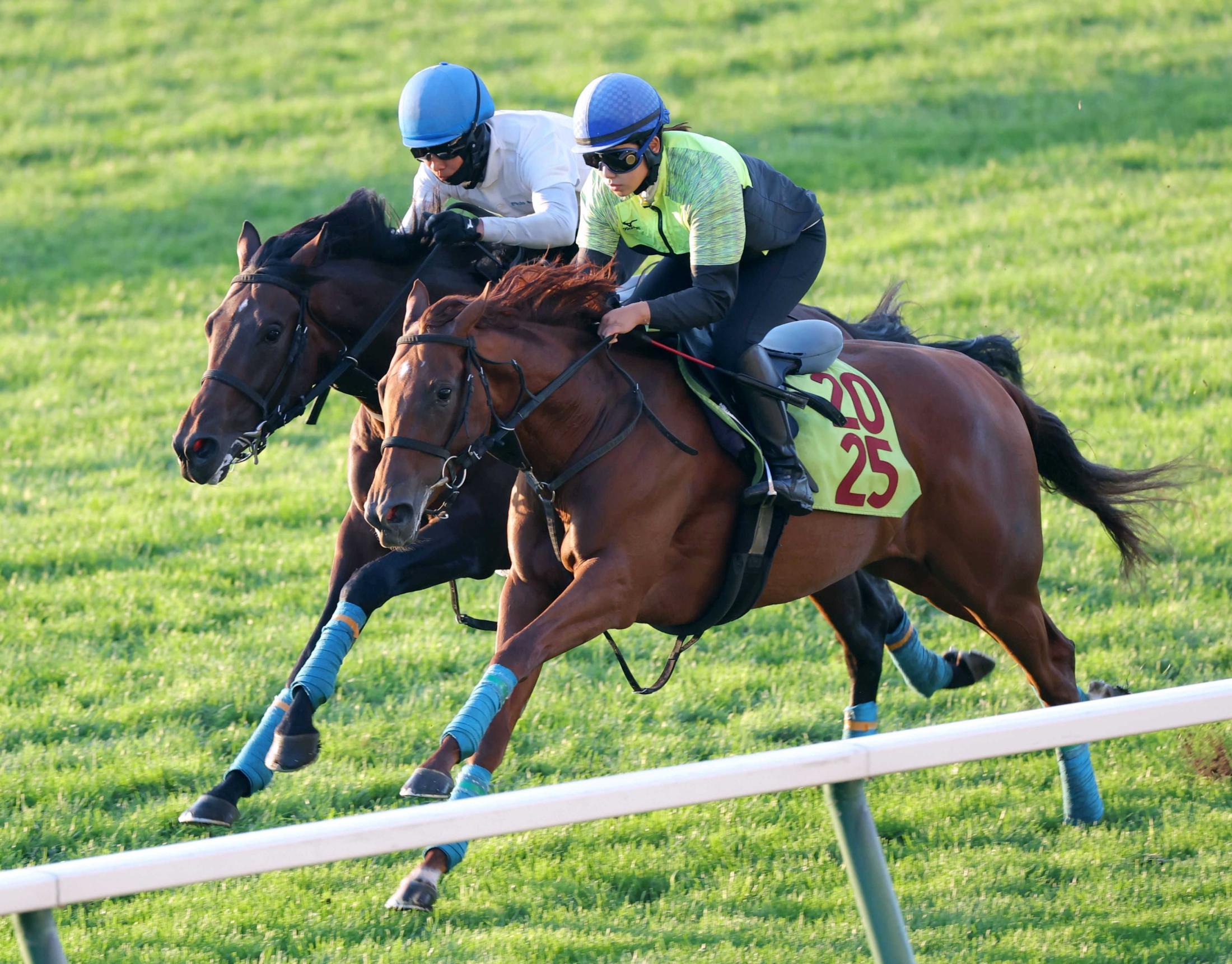 【新馬戦】ニルマーネル　小柄でも動きは軽快　小島師「数字よりも厚みが出てきている」