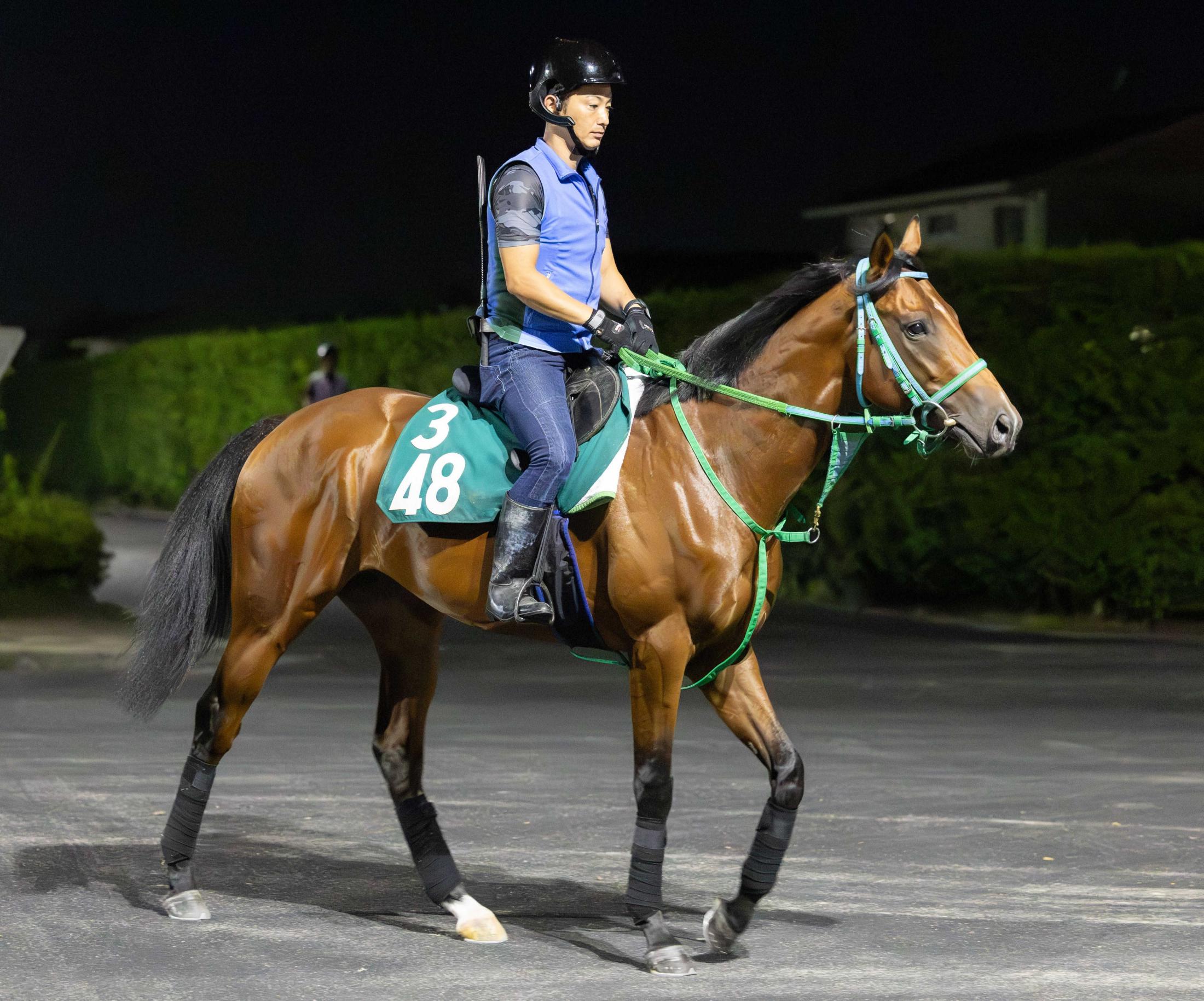 【新馬戦】アルヴァンドルード　非凡な瞬発力　池添師も期待「調教通りならいいところがある」