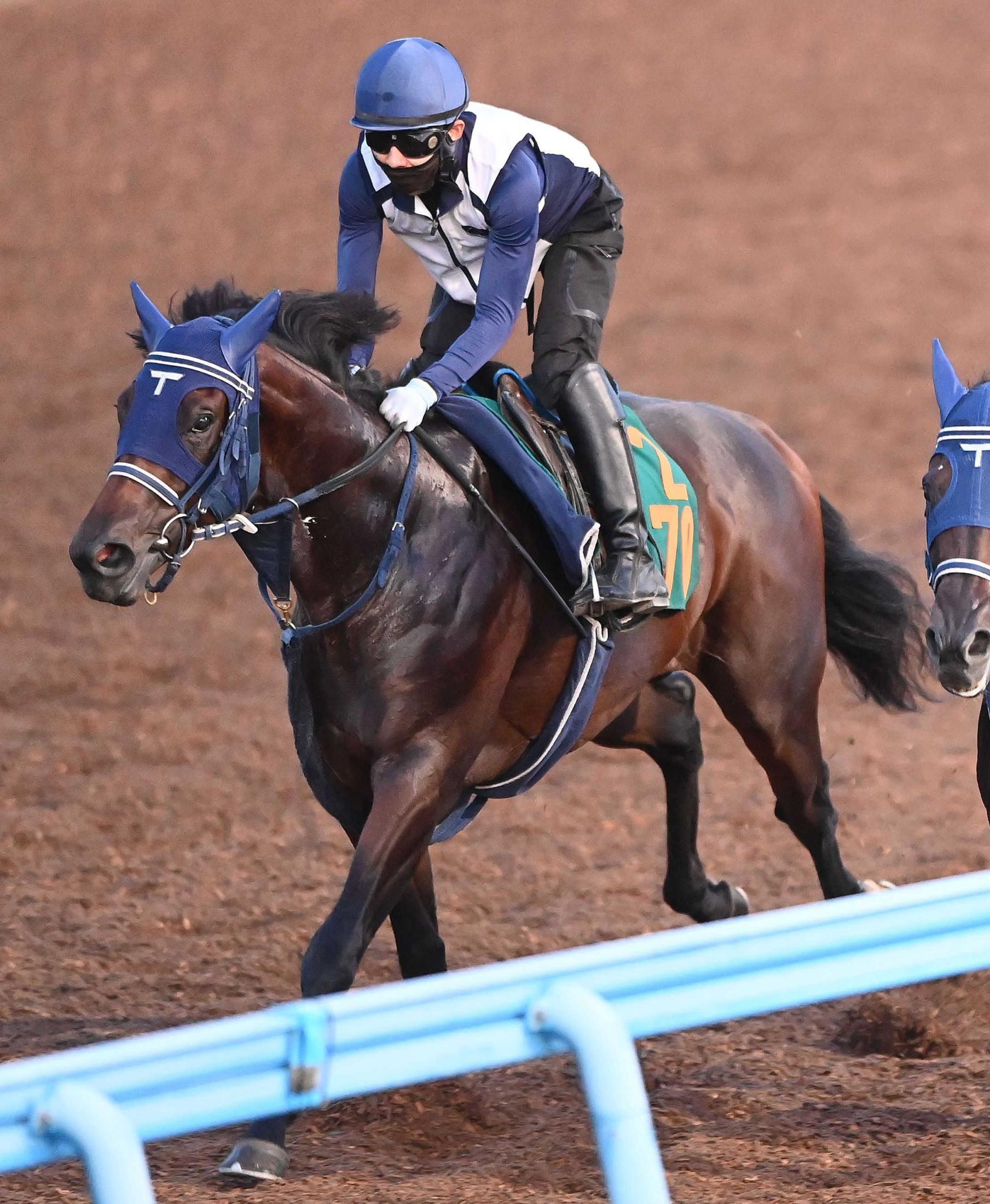 【新馬戦】ソラネルマン　良血らしく”堂々”決める　祖母はＧ１・６勝ブエナビスタ　手塚久師も素質を評価