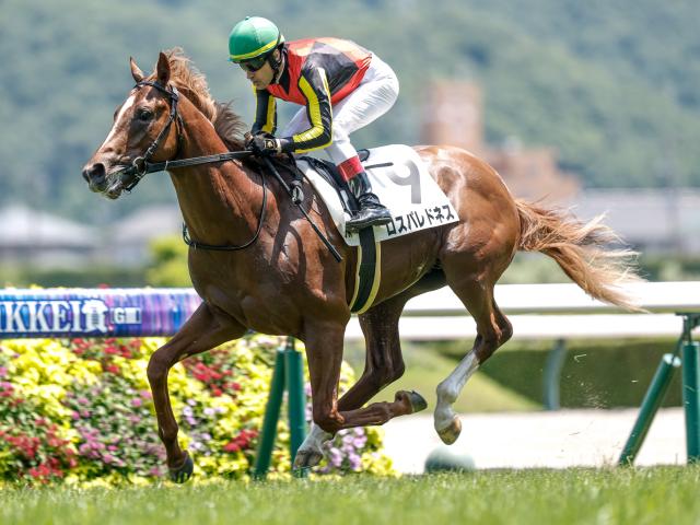 【札幌2歳S枠順確定】ロスパレドネスは6枠8番、スマートプリエールは8枠11番