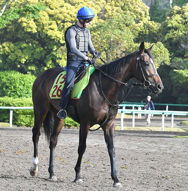 ７月小倉でデビュー戦Ｖのクールフランはサフラン賞へ　６月東京で新馬勝ちのドリームコアも参戦