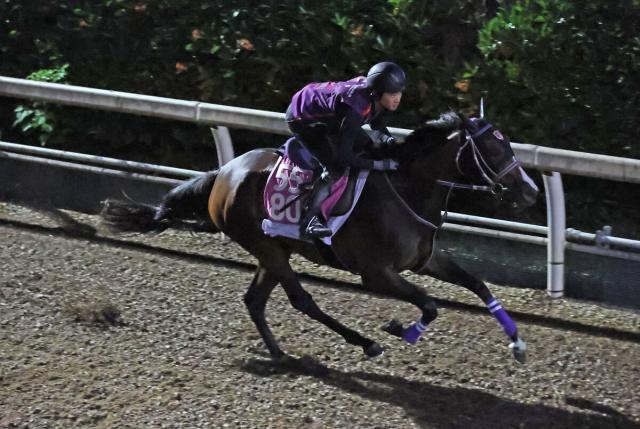 【紫苑S】桜花賞3着馬リンクスティップは1枠1番　エフフォーリアの全妹・ジョスランは4枠5番に決定