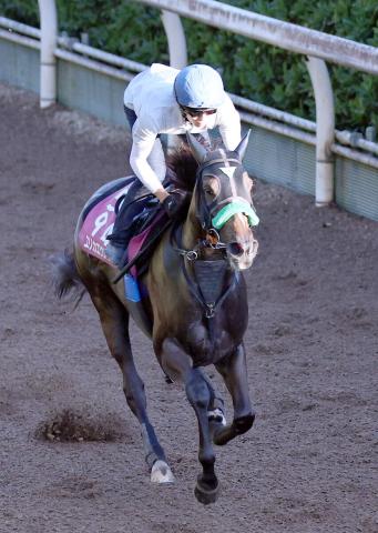 【京成杯AH】フェアリーS覇者エリカエクスプレスは6枠11番　柴田善臣騎手の昨年2着タイムトゥヘヴンは7枠14番に決定