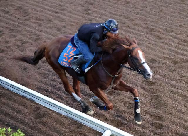 【セントウルS】重賞6勝目狙うトウシンマカオは7枠14番に決定　ママコチャは2枠3番