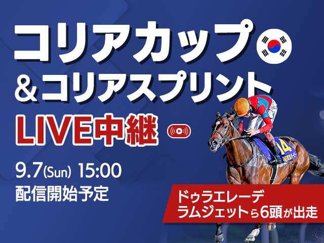̵LIVEۥꥢåסꥢץȤۿ