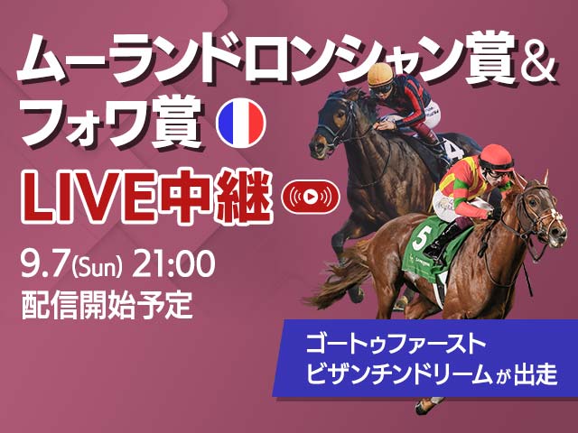 ̵LIVEۥࡼɥ󥷥ޡեޤۿ