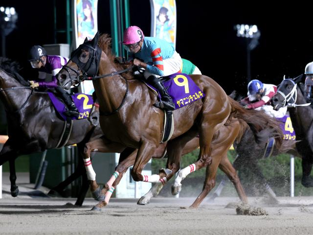 【サマーチャンピオンレース後コメント】ヤマニンチェルキ岩田望来騎手ら