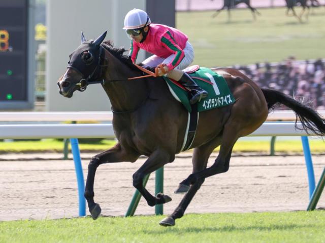 【チャレンジC想定馬・騎手】イングランドアイズ、サブマリーナなど16頭