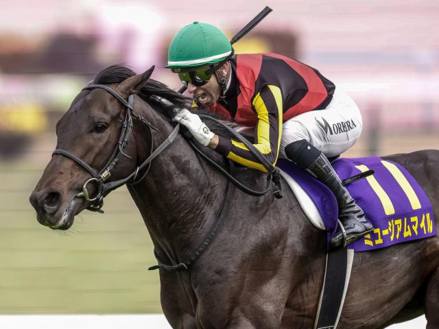 【セントライト記念想定馬・騎手】ミュージアムマイル、エキサイトバイオなど13頭