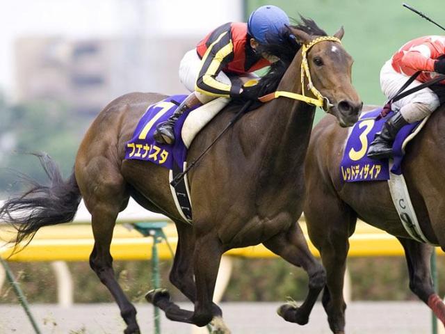 祖母は名牝ブエナビスタ ソラネルマンがデビュー勝ちなるか