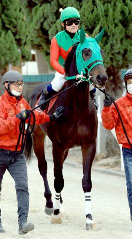 POGファンのバイブル「赤本」が4/28(金)に発売 | 競馬ニュース