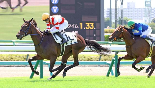 【中山2R・2歳未勝利】アネゴハダの妹トワニが2戦目で初勝利　菅原明良騎手「ハミとってからはいい脚」
