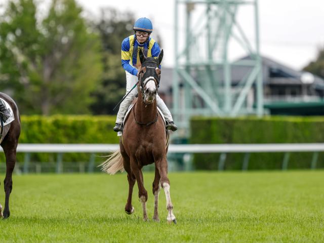 【古作特別レース後コメント】シャドウメテオ戸崎圭太騎手ら