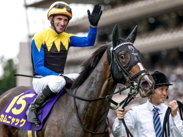 JRA 実使用 ゼッケン ローズステークス GⅡ GⅠ出走馬 タガノエルピーダ JRA 実使用 ゼッケン ローズステークス GⅡ GⅠ出走馬 タガノ