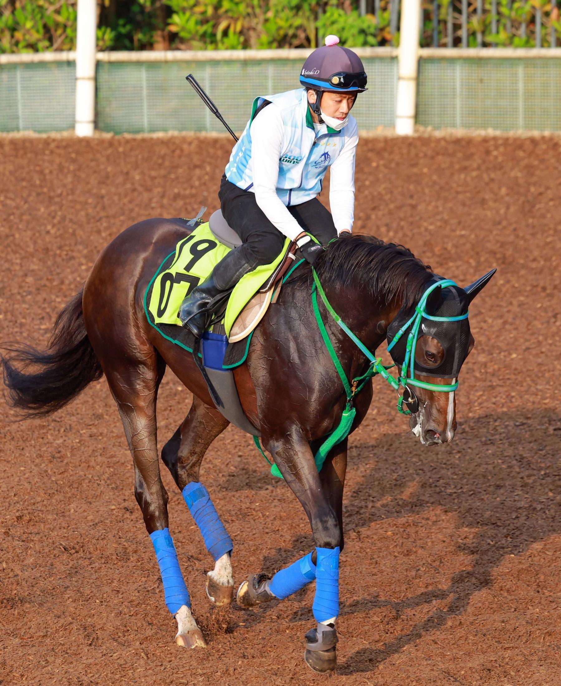 【新馬戦】ティタノマキア　きょうだいの背中超える！半兄にストロングタイタン、半姉にギルデッドミラー　池添師も素質を高評価